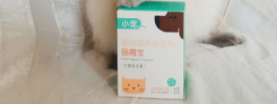 小宠肠胃宝——自从养了猫咪之后家里经常