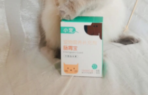 小宠肠胃宝——自从养了猫咪之后家里经常