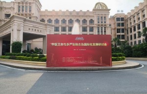 中国“首届中医艾灸与多产业融合及国际化发展研讨会”在大湾区召开