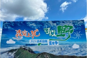 国庆新玩法！森宿上犹露营季，带你“野”出圈！